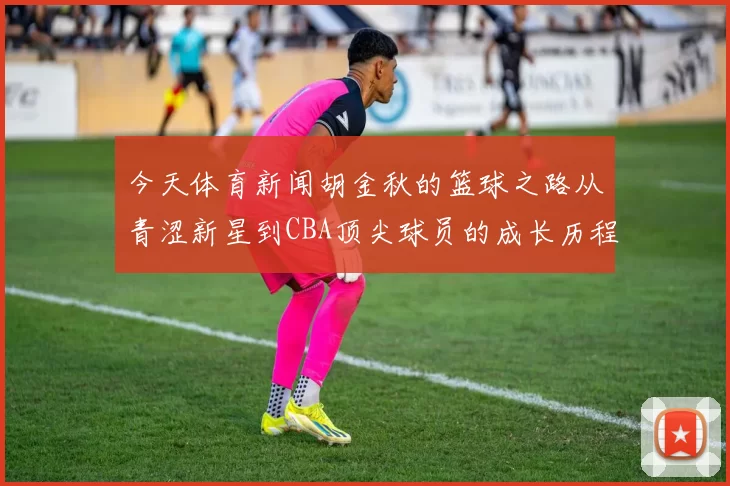今天体育新闻胡金秋的篮球之路从青涩新星到CBA顶尖球员的成长历程与成就分析