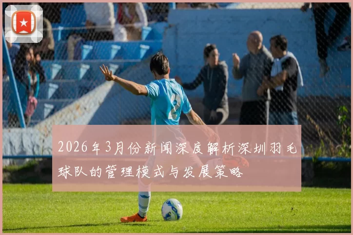 2026年3月份新闻深度解析深圳羽毛球队的管理模式与发展策略